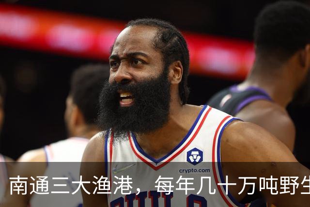 南通三大渔港，每年几十万吨野生海捕鱼，流向了哪里